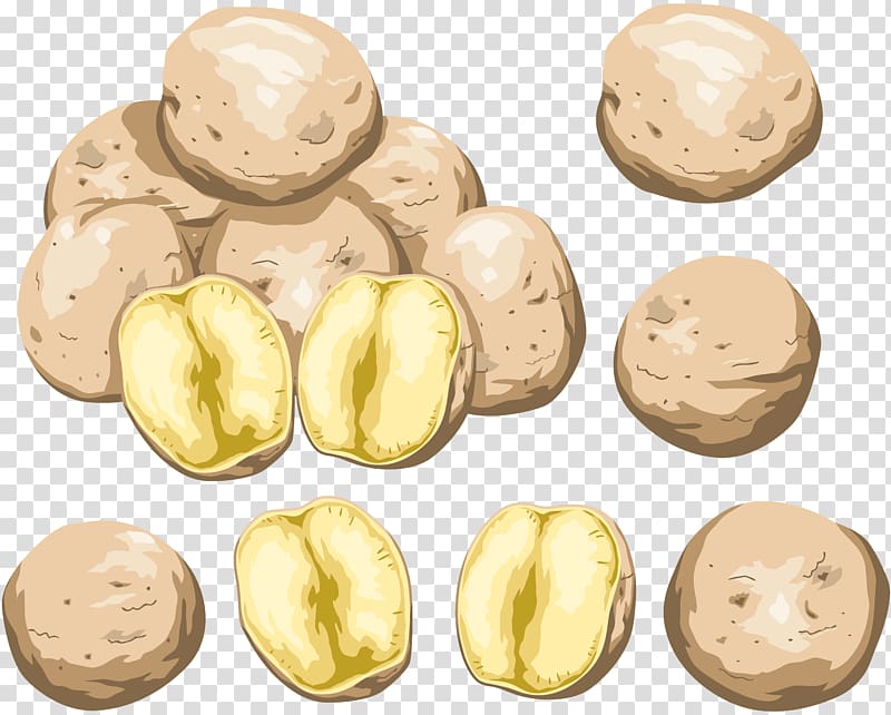 Potato Nut , potato transparent background PNG clipart