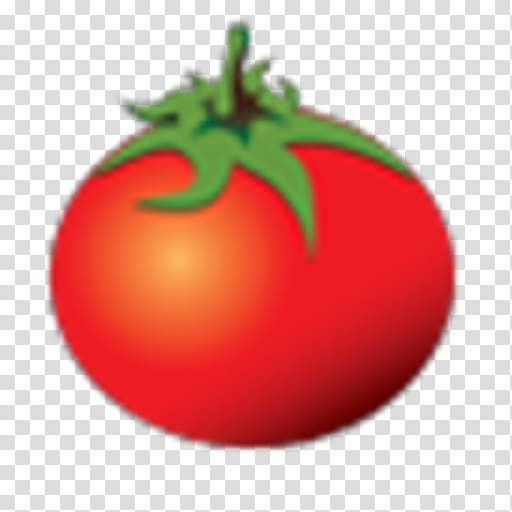 Plum tomato Bush tomato Rotten Tomatoes Film, tomato transparent background PNG clipart
