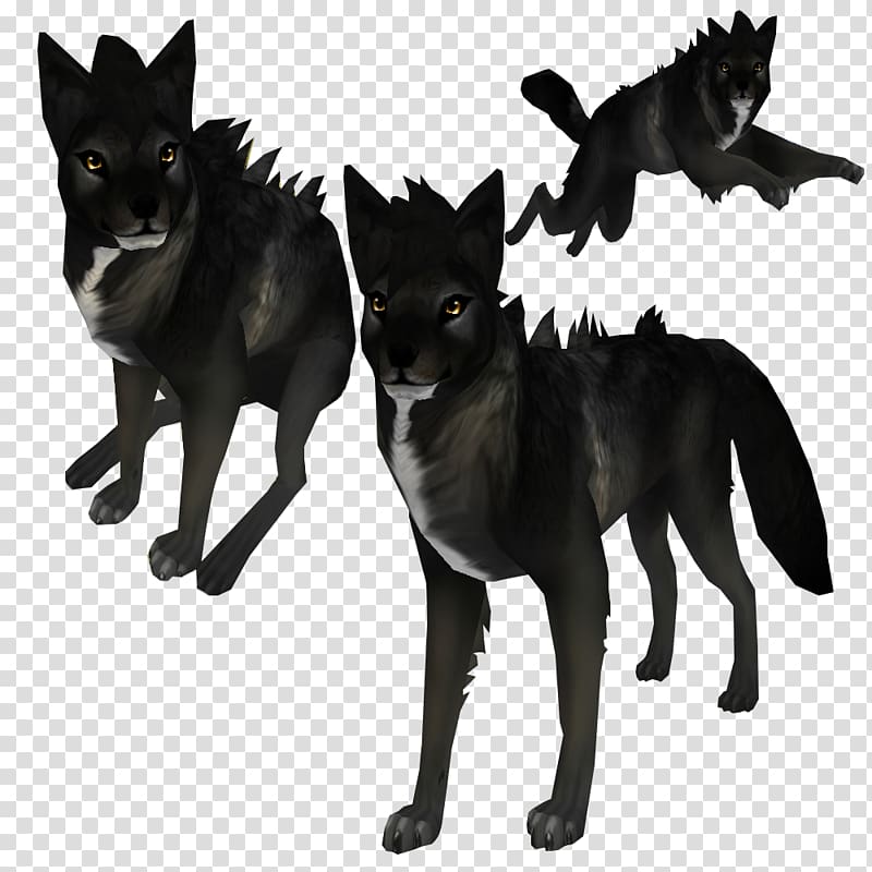 Dog Feral animal Canidae Black wolf Pet, Dog transparent background PNG clipart