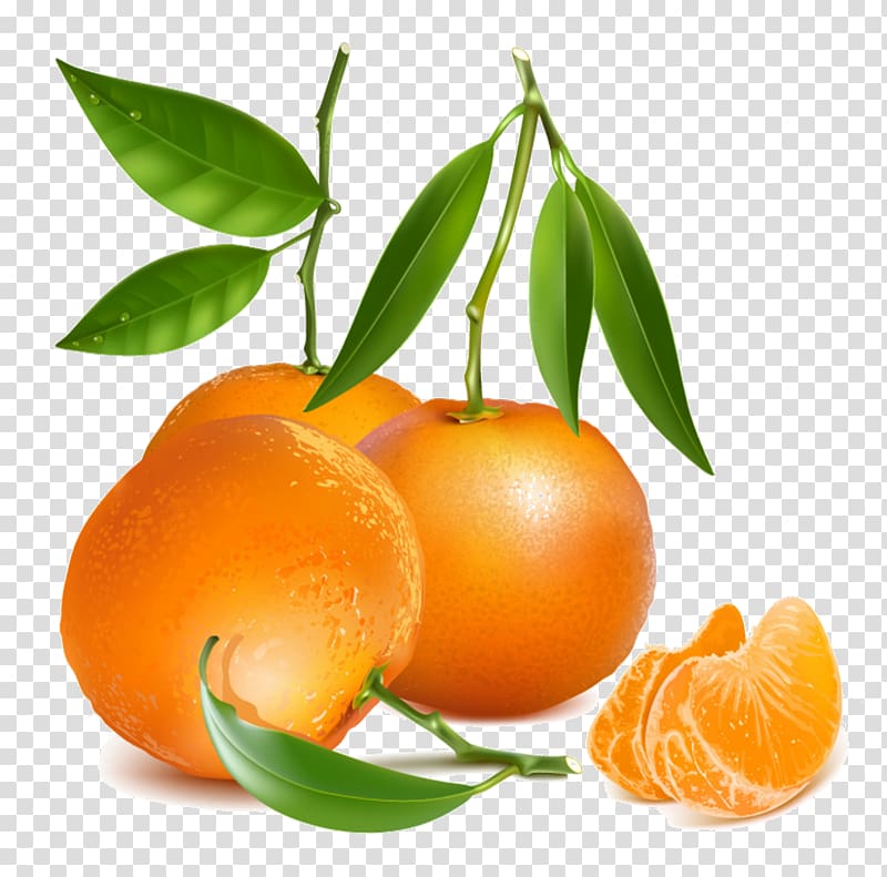 Tangerine Drawing Mandarin orange, fruits transparent background PNG clipart