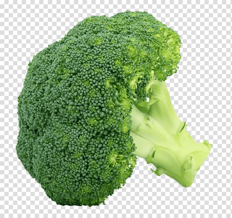 Broccoli Cruciferous vegetables , broccoli transparent background PNG clipart