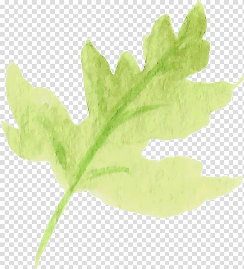 Leaf vegetable Plant stem Tree, water color leaf transparent background PNG clipart