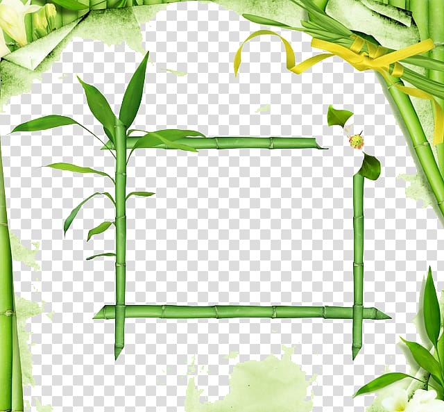 Lucky bamboo, Bamboo Border transparent background PNG clipart
