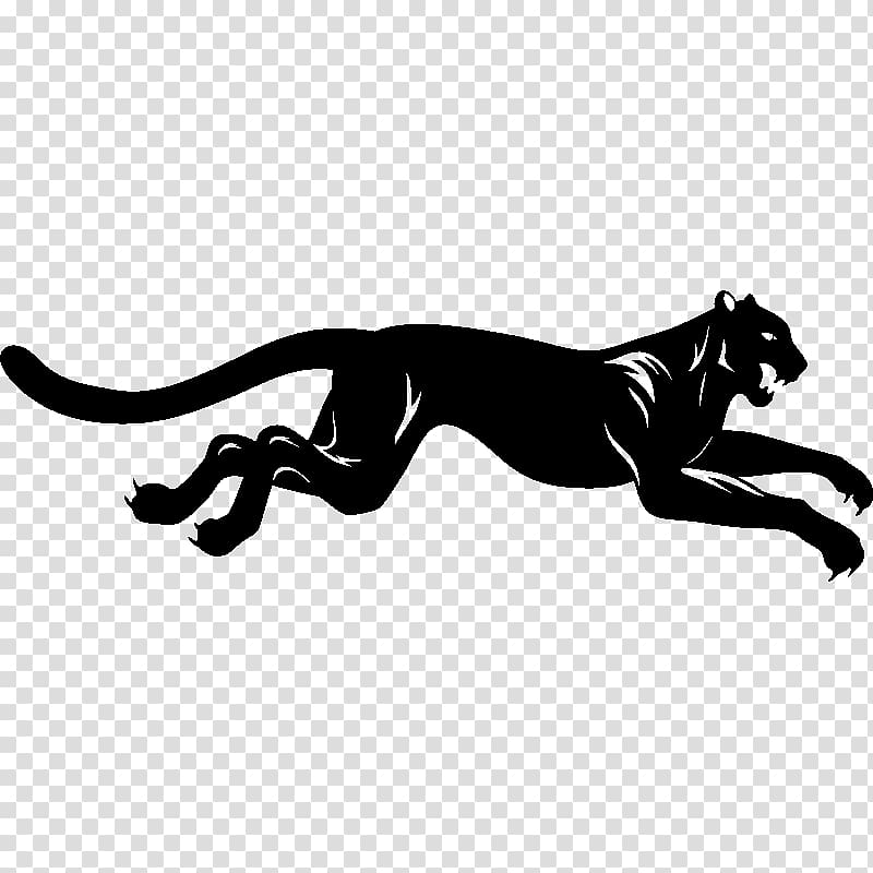 Panther Cougar Leopard Cheetah Tiger, leopard transparent background PNG clipart