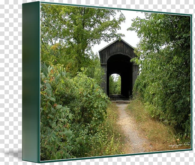 Nature reserve Outhouse Biome Nature story, Train Bridge transparent background PNG clipart
