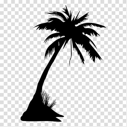 Arecaceae Tree Drawing , summer coconut grove play background transparent background PNG clipart