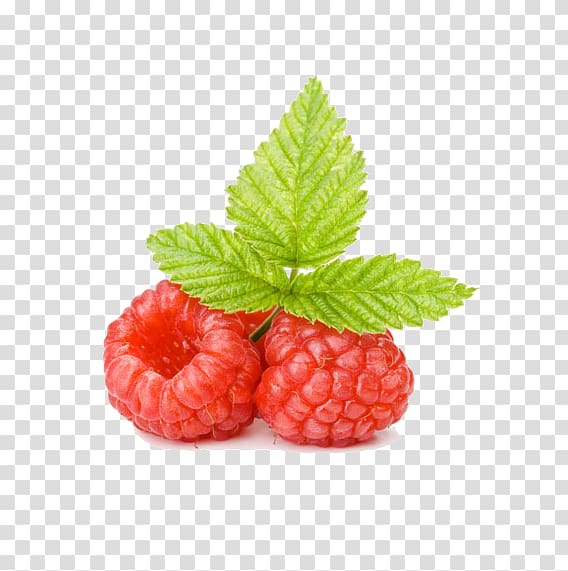 Red raspberry Fruit Computer file, Raspberry transparent background PNG clipart