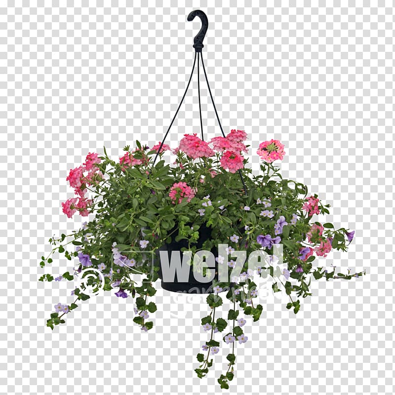 Vervain Floral design Flowerpot, flower transparent background PNG clipart