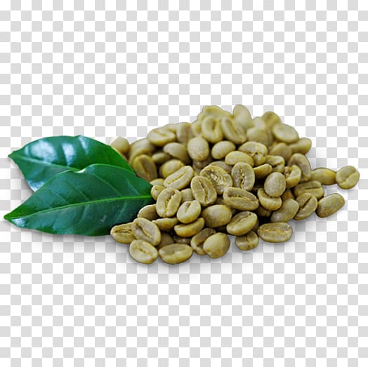 Green coffee extract Green tea Cafe, Coffee transparent background PNG clipart