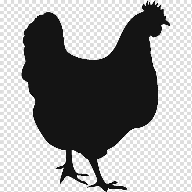 Chicken graphics Hen Rooster , Chalkboard transparent background PNG clipart