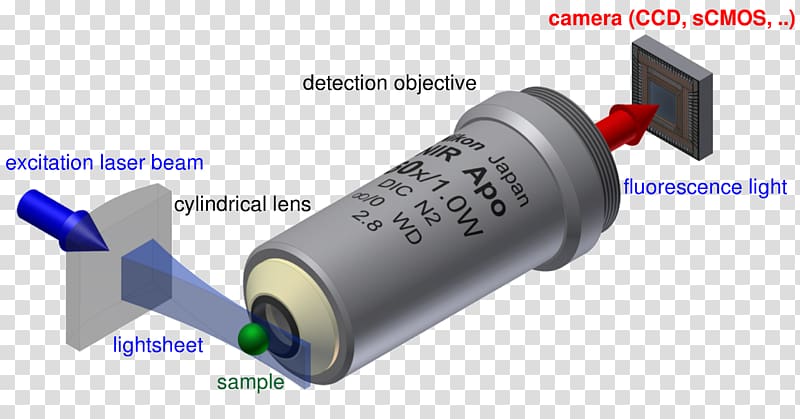 Light sheet fluorescence microscopy Optical microscope Objective, light transparent background PNG clipart