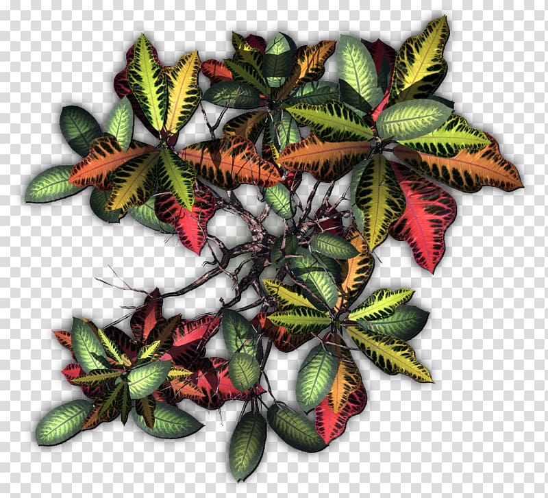 Tree Plant Vine Jungle, tropical plant transparent background PNG clipart