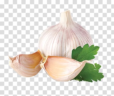 Garlic transparent background PNG clipart