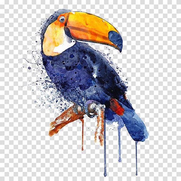 Watercolor painting Art Toucan Parrot, painting transparent background PNG clipart