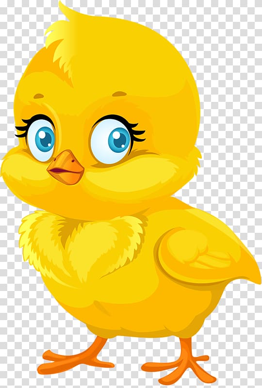 Chicken Cartoon , Little yellow duck transparent background PNG clipart