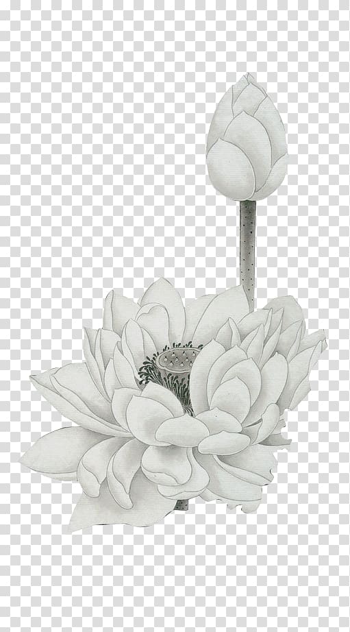 Watercolor painting, White Lotus and bud transparent background PNG clipart