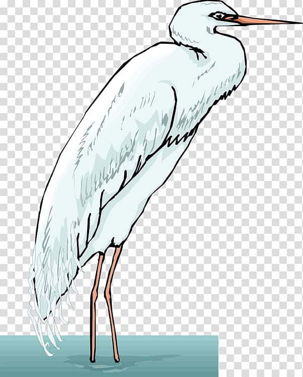 Heron , egrets transparent background PNG clipart