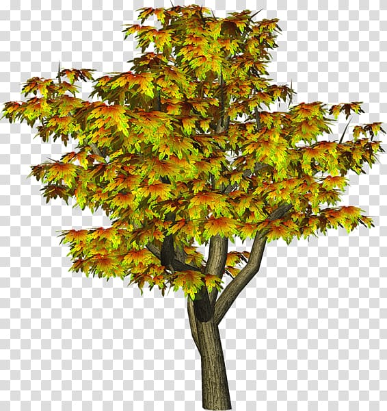Tree , tree transparent background PNG clipart