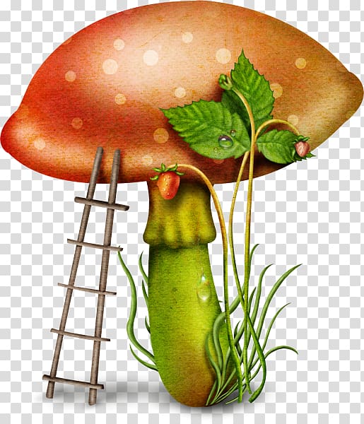 Fungus Mushroom , Ladder with mushrooms transparent background PNG clipart
