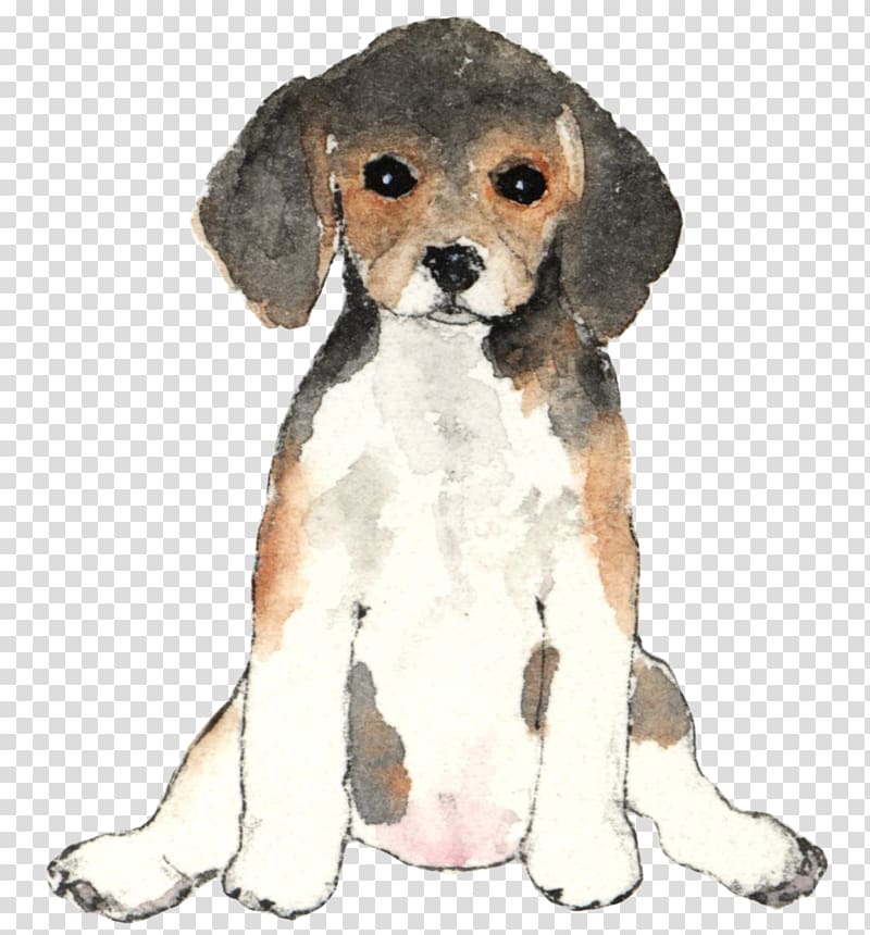 Puppy Dog breed Beagle Companion dog Dog training, puppy transparent background PNG clipart