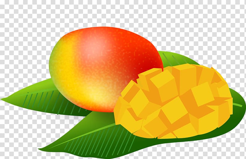 Mangifera indica Tropical fruit Art, Mango Pic transparent background PNG clipart