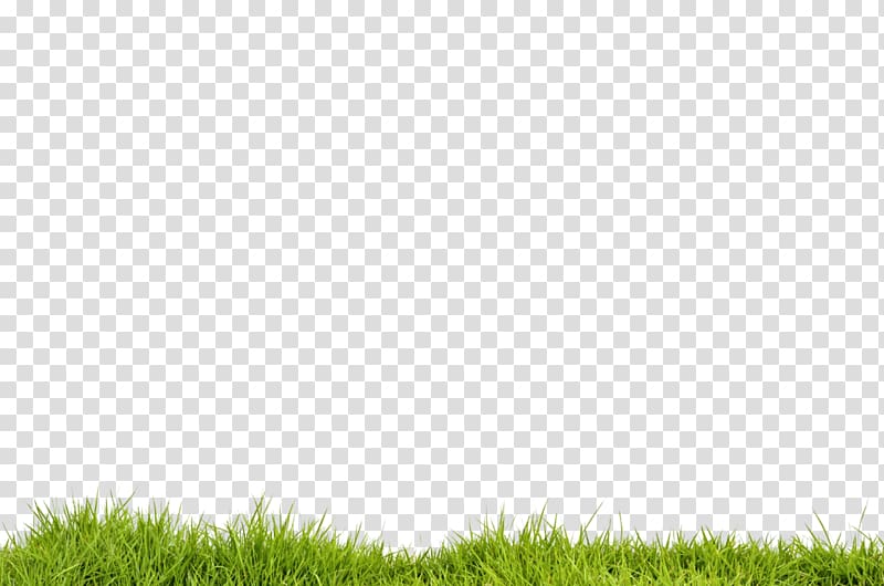 Download Green Grass Desktop Portable Network Graphics Picsart Studio Editing Cb Edit Background Transparent Background Png Clipart Hiclipart PSD Mockup Templates
