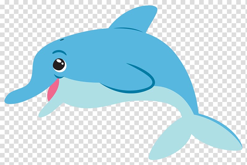 Common bottlenose dolphin Tucuxi, Dolphin transparent background PNG clipart
