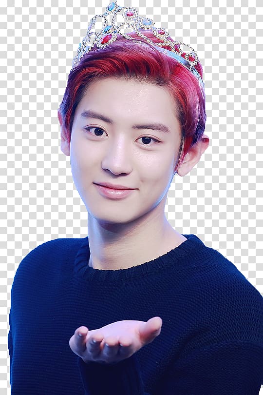 Chanyeol EXO So I Married an Anti-fan K-pop Wolf, wolf transparent background PNG clipart