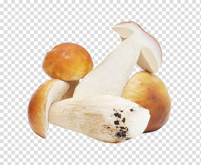 Edible mushroom Tomato soup Boletus edulis Food, mushrooms transparent background PNG clipart