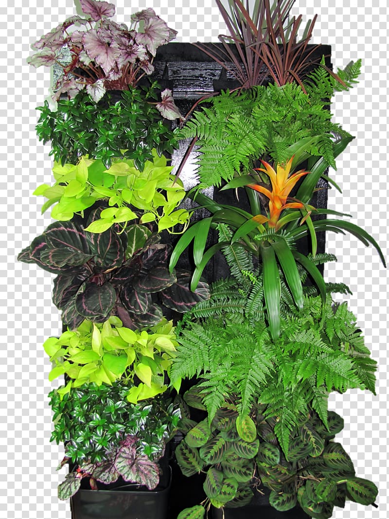 Houseplant Green wall Garden Flowerpot, others transparent background PNG clipart
