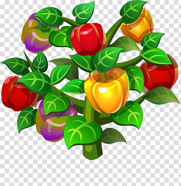 Chili pepper Bell pepper Tree Leaf, Pepper Tree transparent background PNG clipart