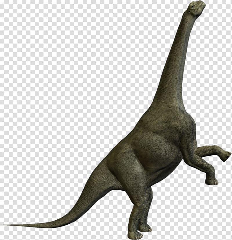 Camarasaurus Tyrannosaurus Prehistory Dinosaurios Herbivoros, dinosaur transparent background PNG clipart