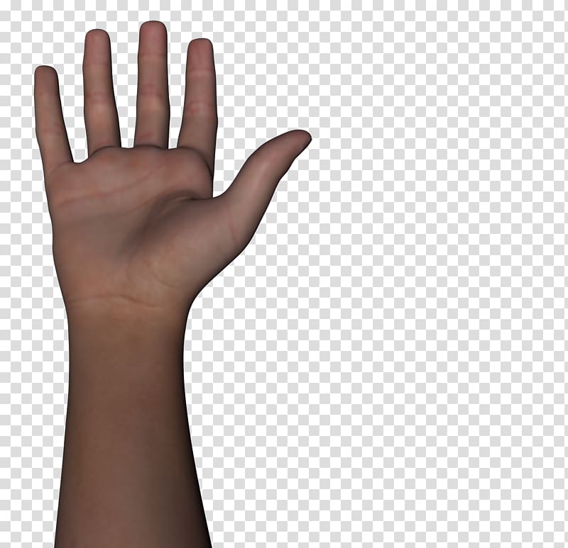 Thumb Arm Human body Hand, arm and hand transparent background PNG clipart