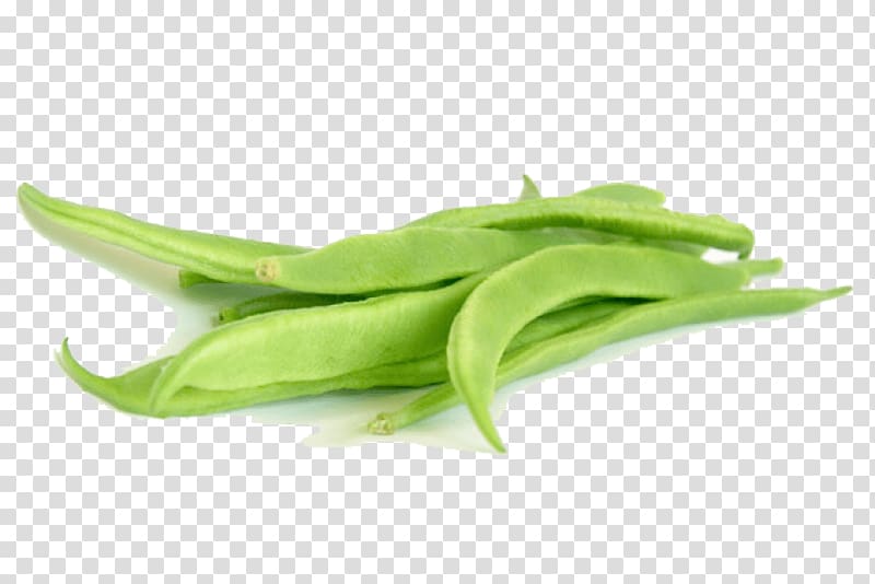 Snap pea Green bean Flat bean Vegetable, vegetable transparent background PNG clipart