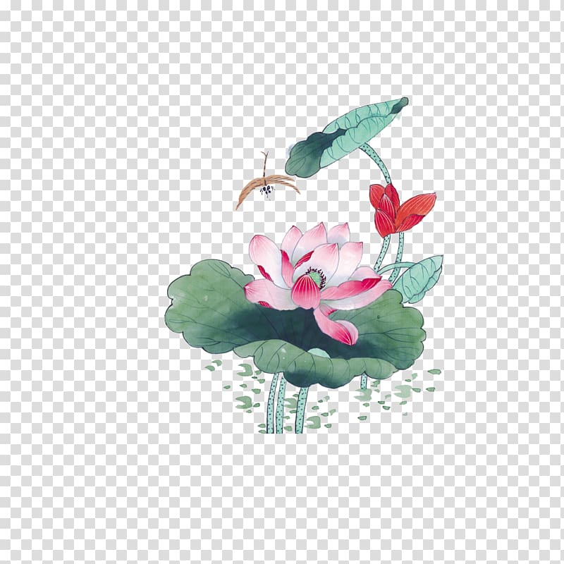 Nelumbo nucifera Ink wash painting Chinese painting Gongbi, Lotus ink painting style transparent background PNG clipart