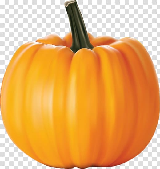 Cucurbita pepo New Hampshire Pumpkin Festival , Legume transparent background PNG clipart