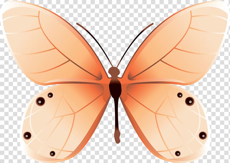 Butterfly net Moth Insect, butterfly transparent background PNG clipart