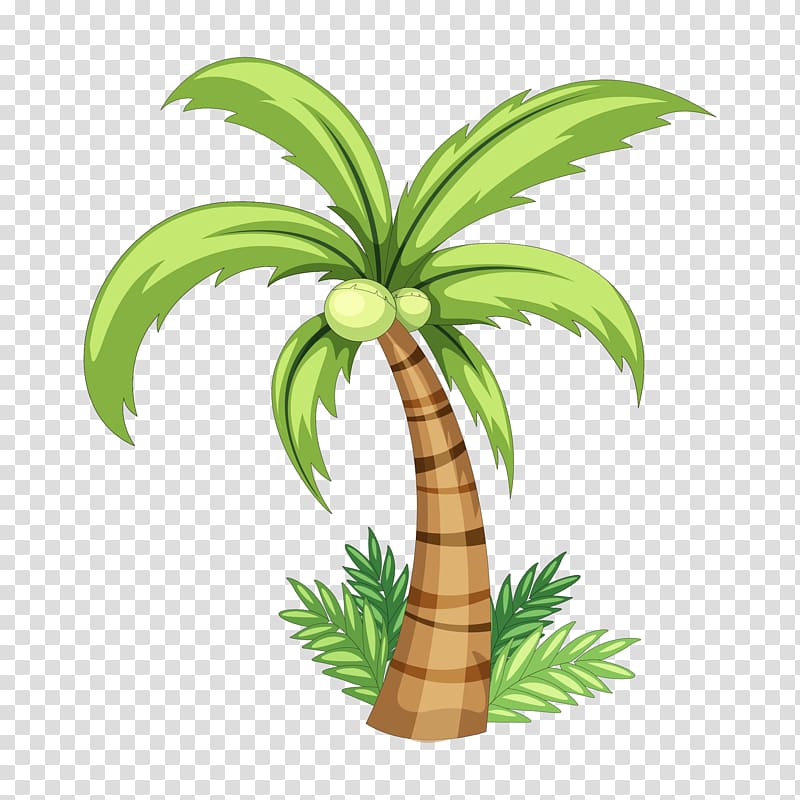 green palm tree , Coconut Drawing , Palm tree hand painted transparent background PNG clipart