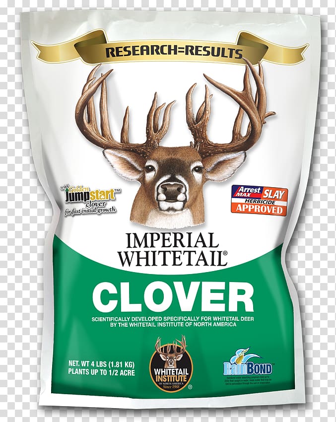 White-tailed deer Food plot Antler Seed, whitetail deer transparent background PNG clipart
