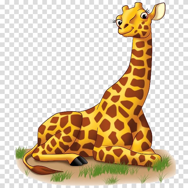 Giraffe , giraffe transparent background PNG clipart