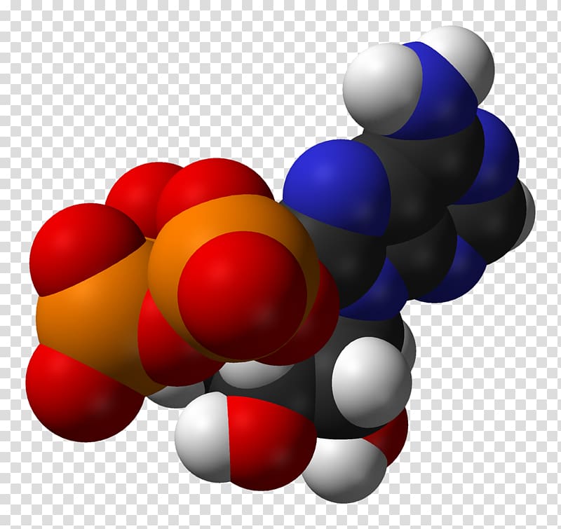 Adenosine triphosphate Molecule Glycolysis Cell, molecule transparent background PNG clipart