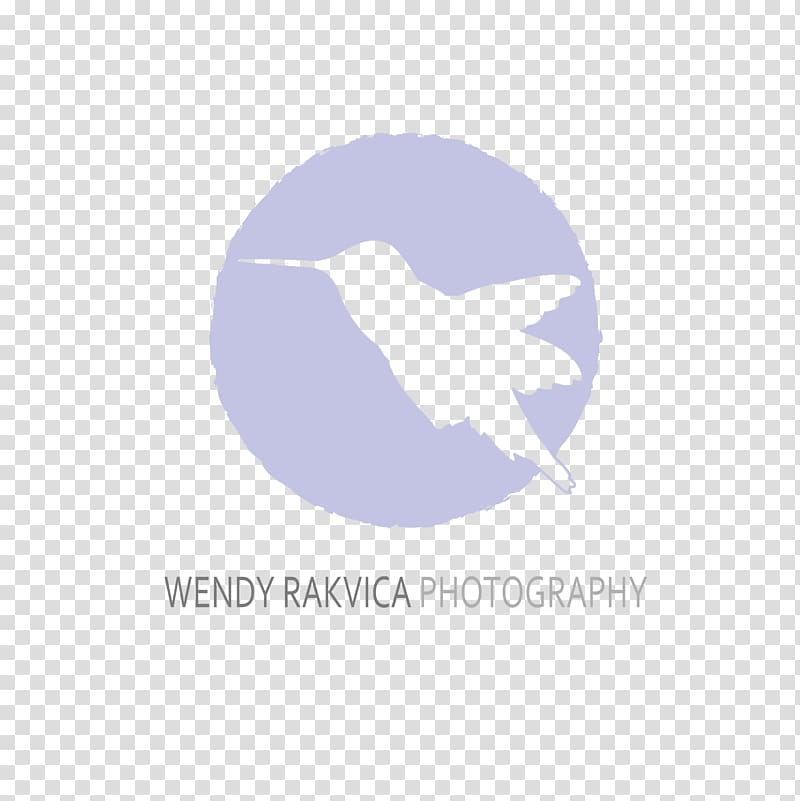 Wendy Rakvica Albany Logo Desktop Infant, Wendy\'s Company transparent background PNG clipart