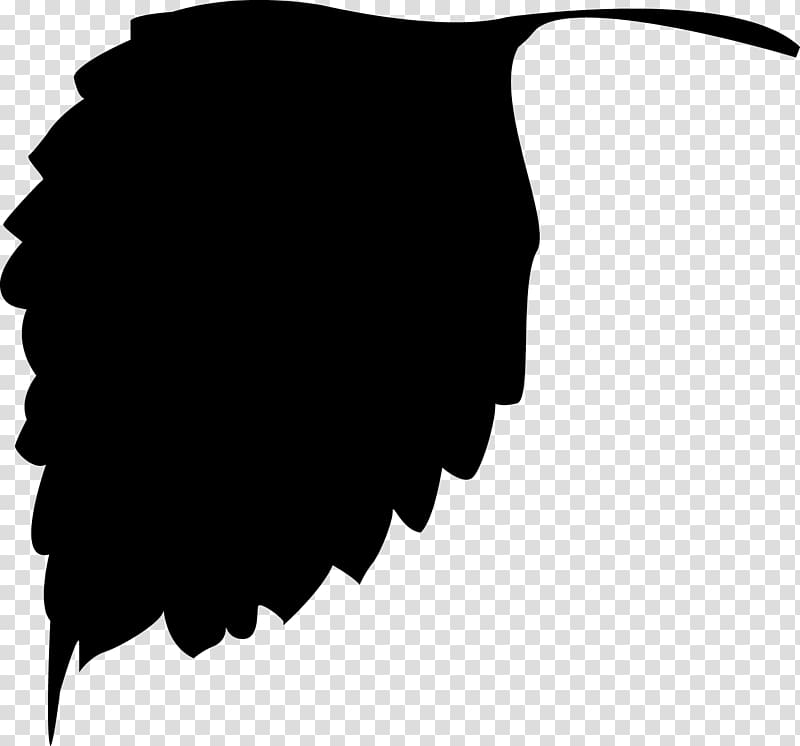 Leaf Silhouette , flies transparent background PNG clipart