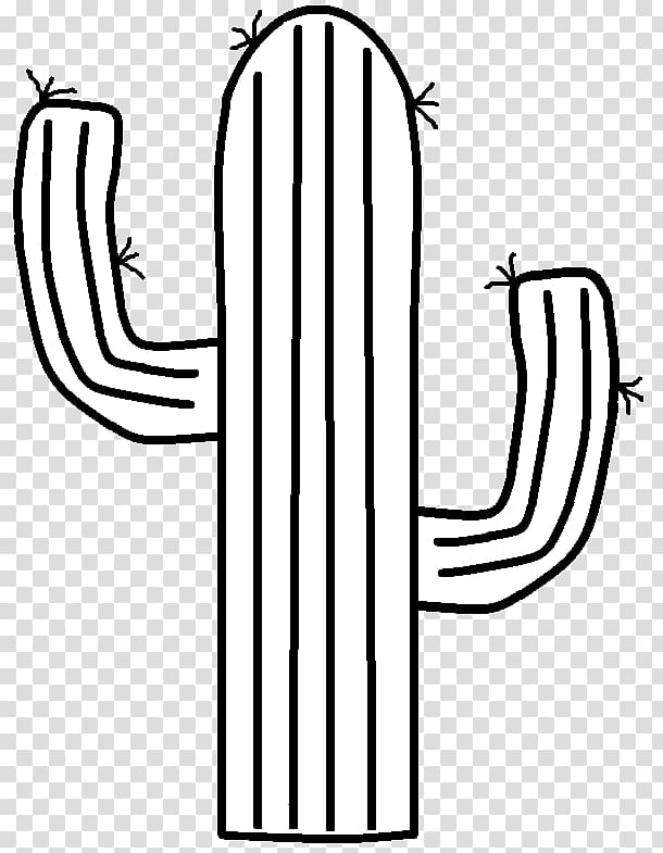 Cactaceae Drawing , western transparent background PNG clipart