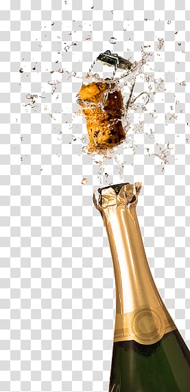 Champagne transparent background PNG clipart