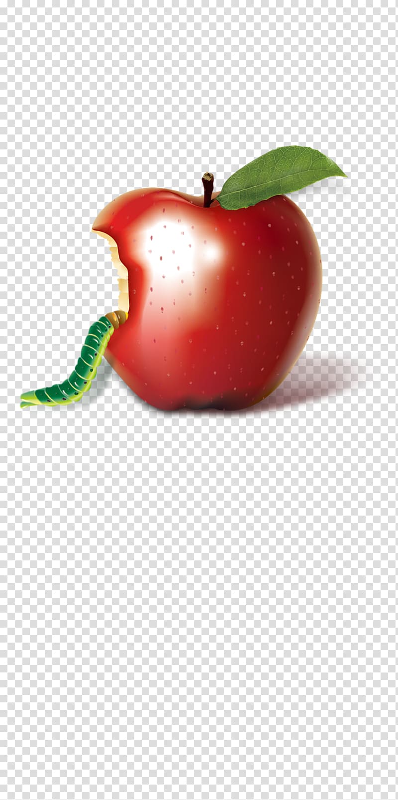 Apple , Apple insects transparent background PNG clipart