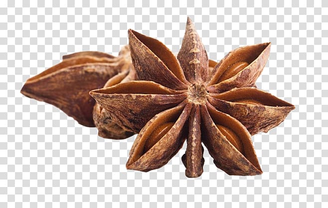 brown star-shaped herb, Star anise Chinese cuisine Spice Herb, star anise transparent background PNG clipart