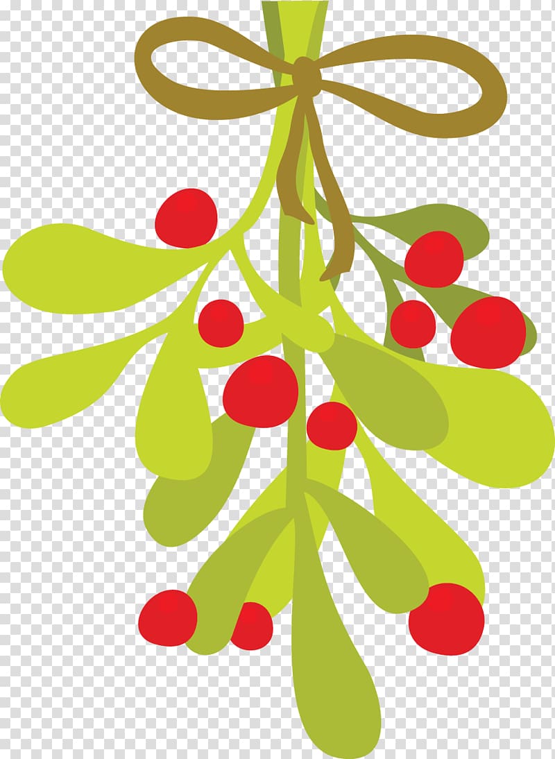 Mistletoe Phoradendron tomentosum , Mistletoe transparent background PNG clipart