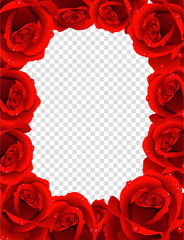 Rose, Rose frame transparent background PNG clipart