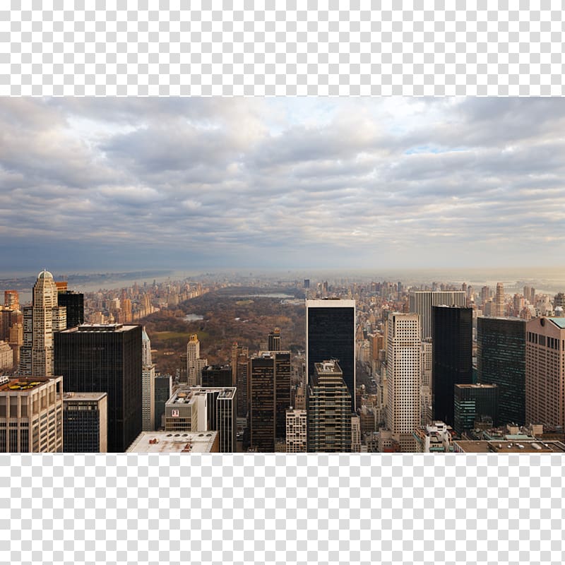 Central Park High Line Lower Manhattan Top Of The Rock Harlem, park transparent background PNG clipart